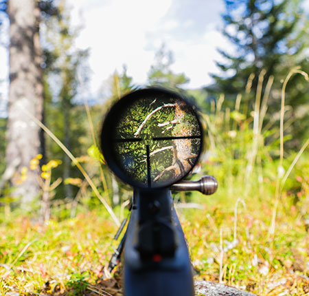 Vente d'équipement optique à Somain